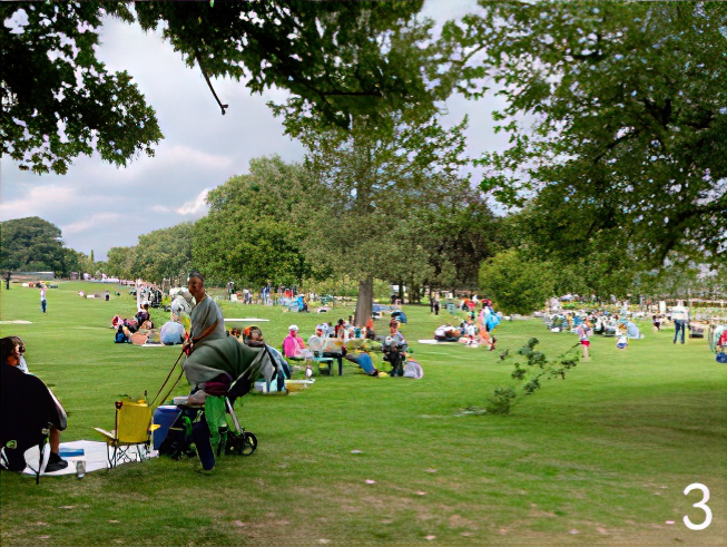 Picnic in the Park event- lots of people having picnics on a green space with trees