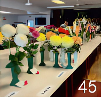 Flowers on show on a table top