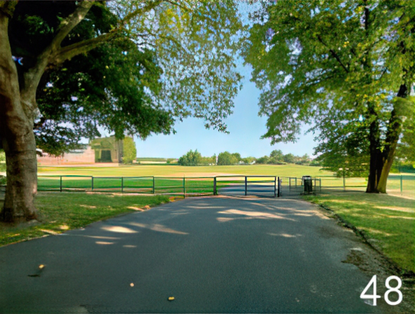 View of Green park- green trees and a field