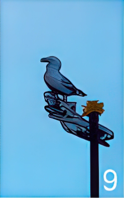 Metal sculpture by Bruce Williams- seagull and some chips